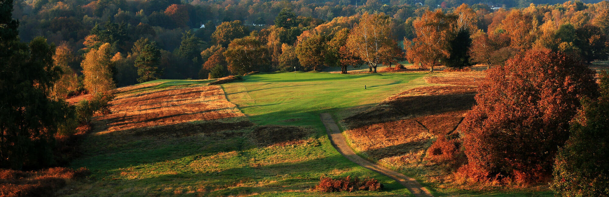 Royal Ashdown