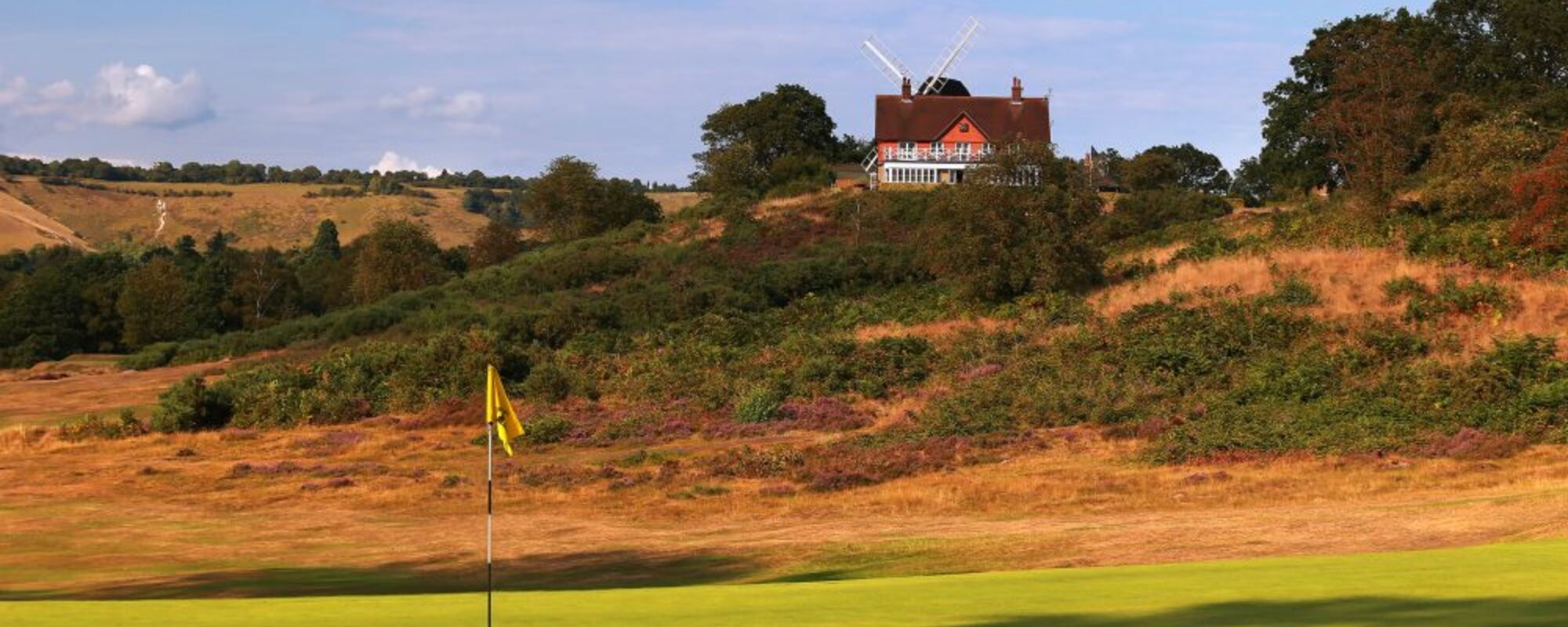 Reigate Heath
