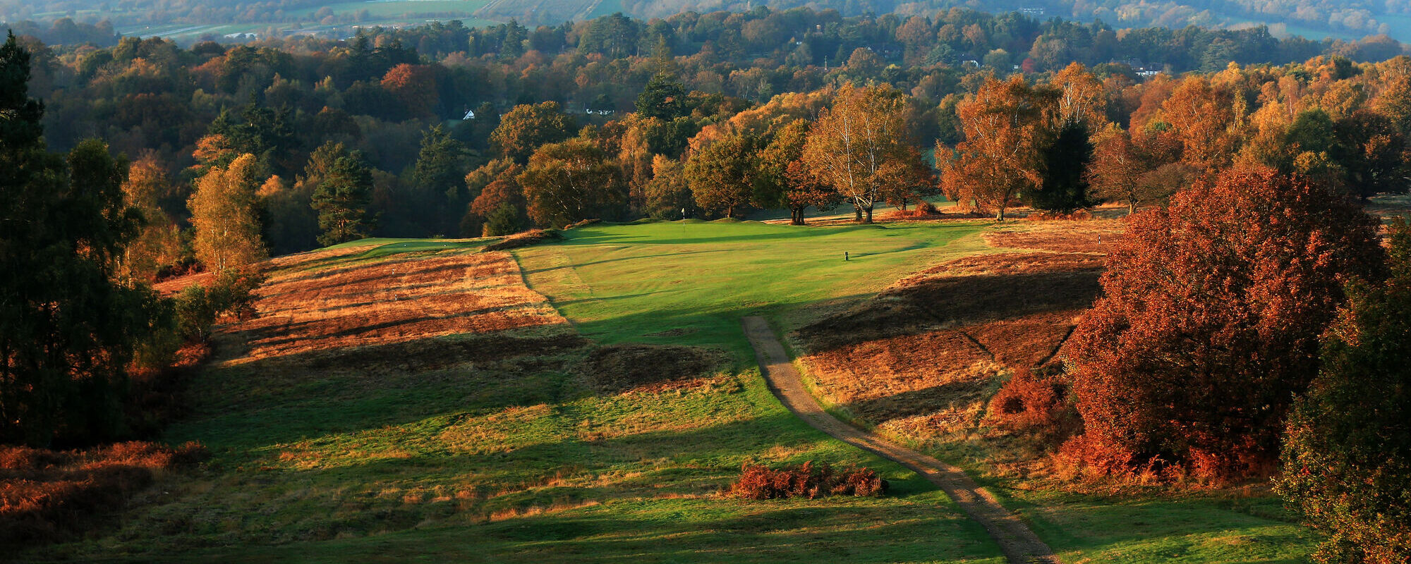Royal Ashdown Forest